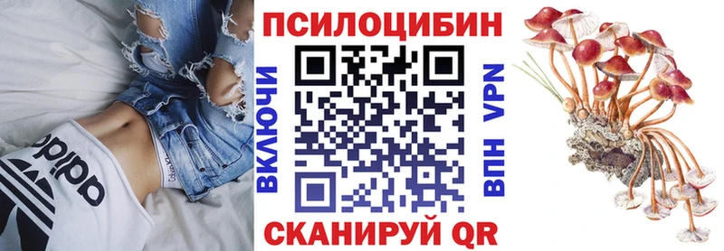 Псилоцибиновые грибы мицелий KRAKEN рабочий сайт Карачев